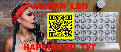 spice Кингисепп