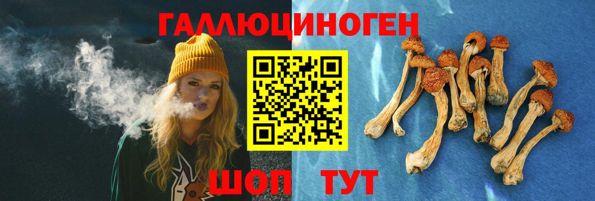 Кубинка  Галлюциногенные грибы мухоморы  Галлюциногенные грибы Cubensis  Вход с VPN 